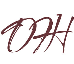 DFH Company LLC Logo Design